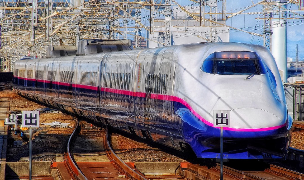 Arrive at Odawara Station for a smooth Tokyo day trip