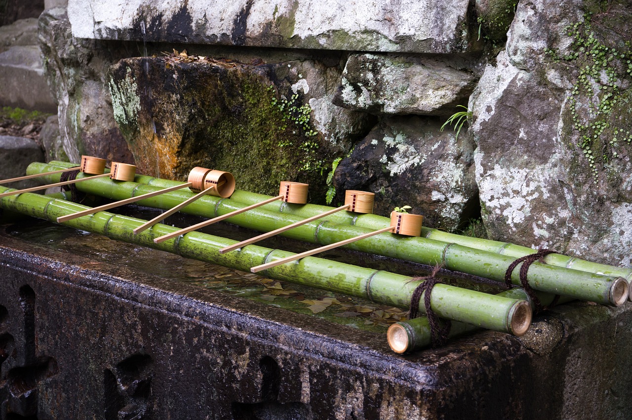 Hidden Hiking Trails Between Temples and Bamboo Calm in Kamakura
