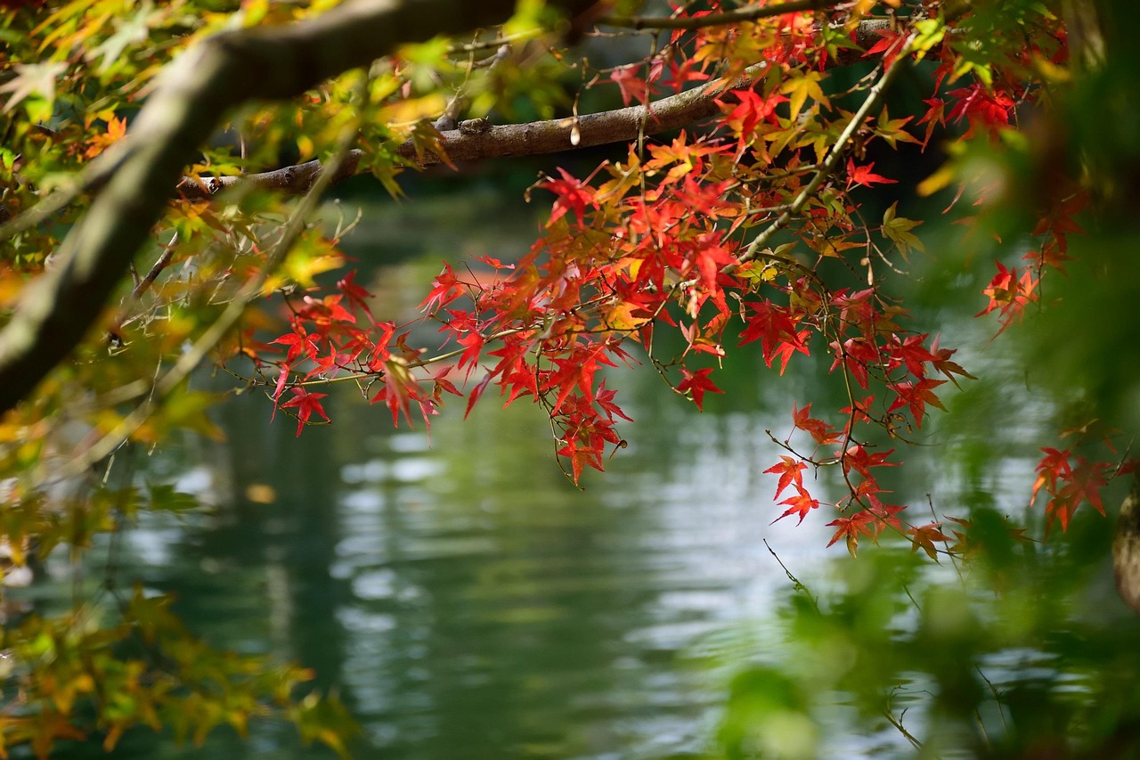 Koko-en Garden a Crafted Pause Beside the Castle in Himeji