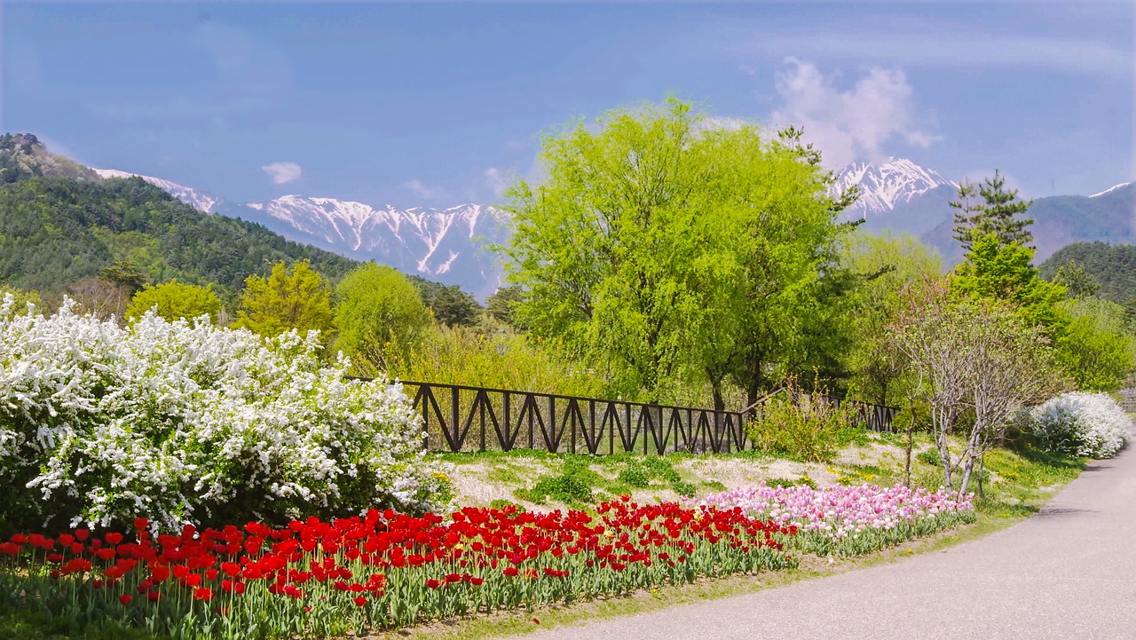 Azumino Valley Adrenaline and Outdoor Route Planning in Nagano Prefecture