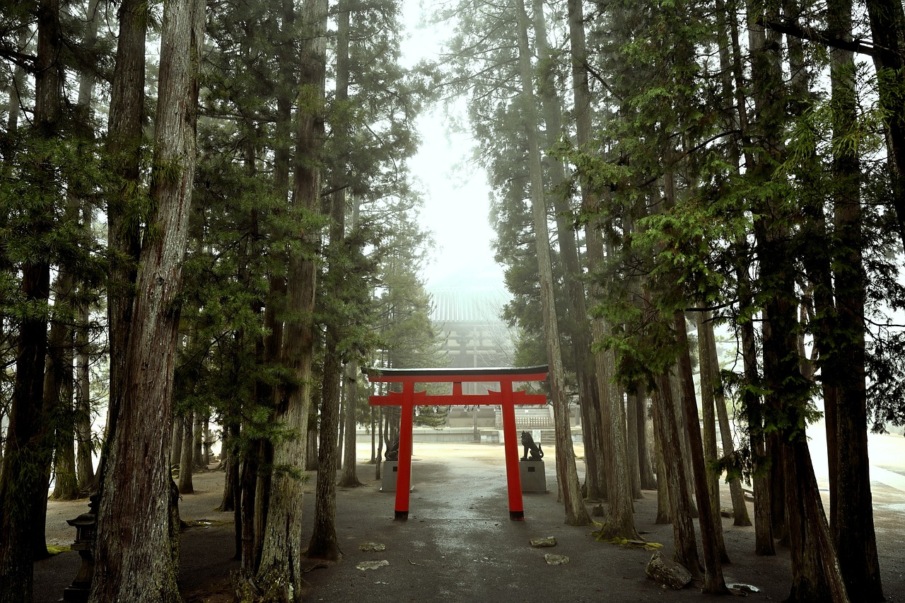 Atsuta Shrine and a Gentle Pause in the Woods for a sacred shrine visit