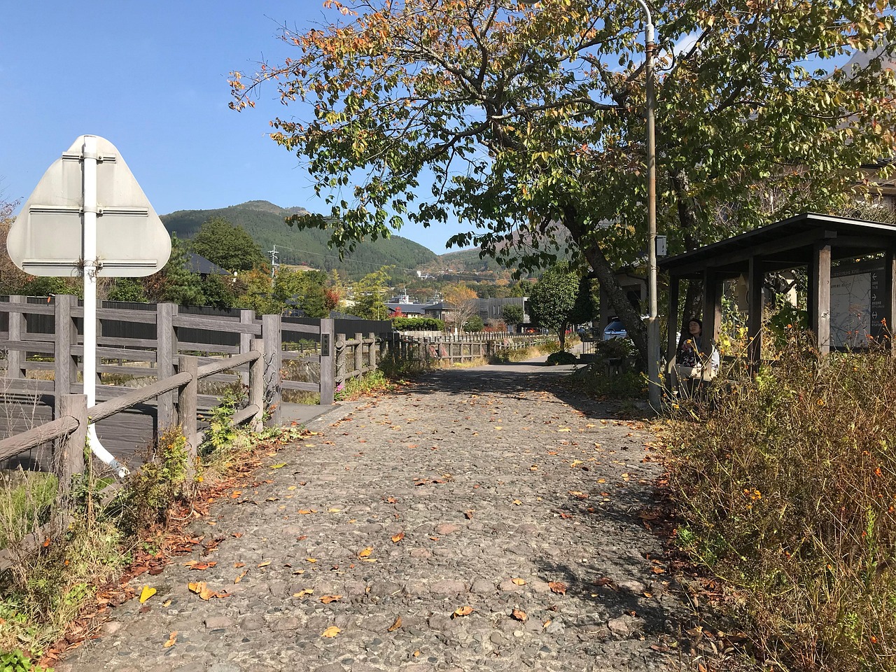 Seafood Feasts Scenic Cycling and Photo Spots
