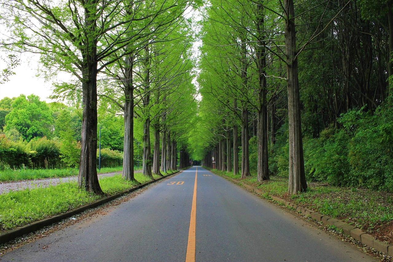 Visit Takachiho Gorge day trip routes from Fukuoka
