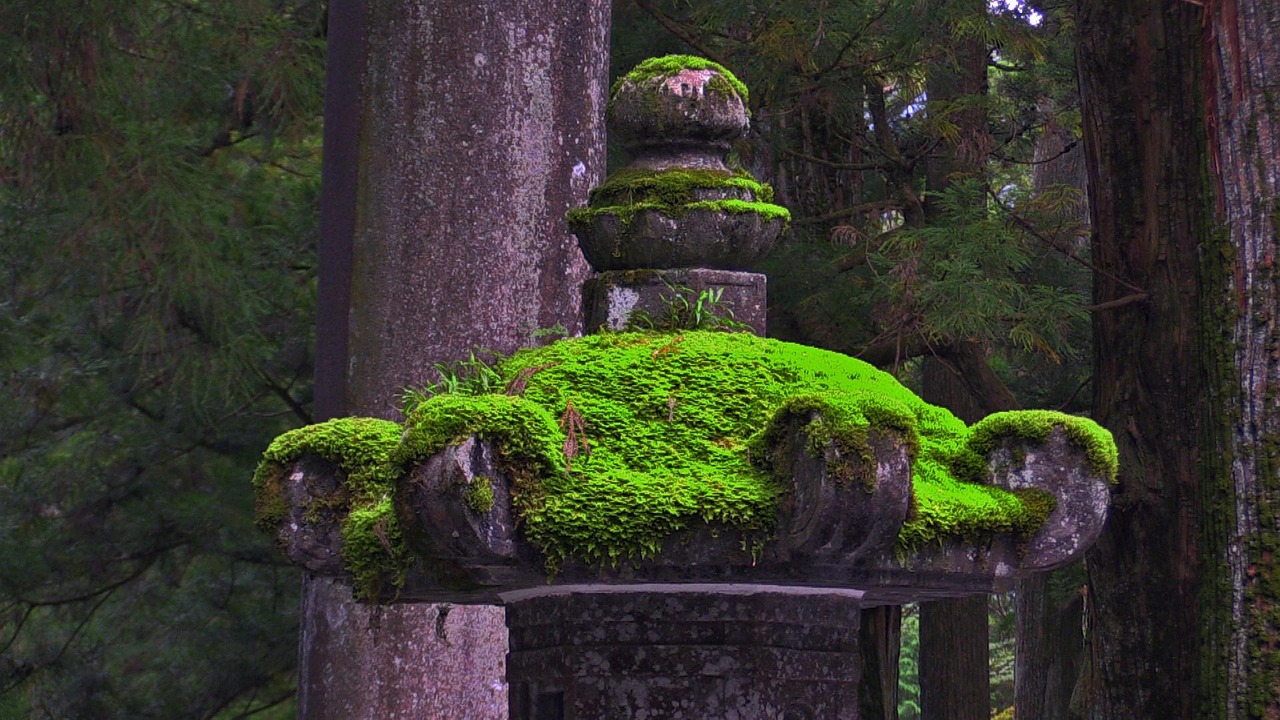Nikko day trip travel guide from Tokyo with stone lanterns in Tochigi