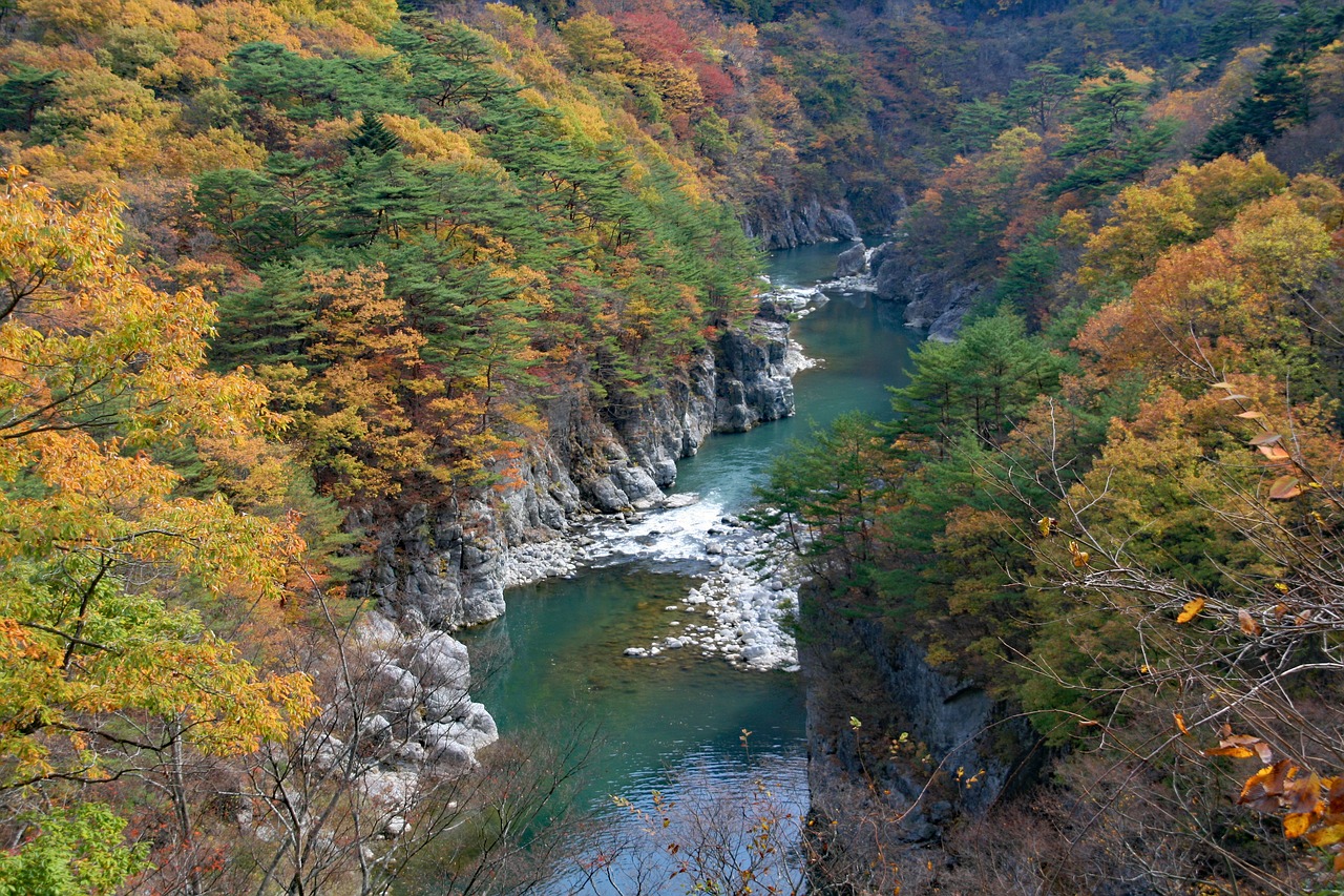 Onsen, accommodation and getting around with local support in Nikko