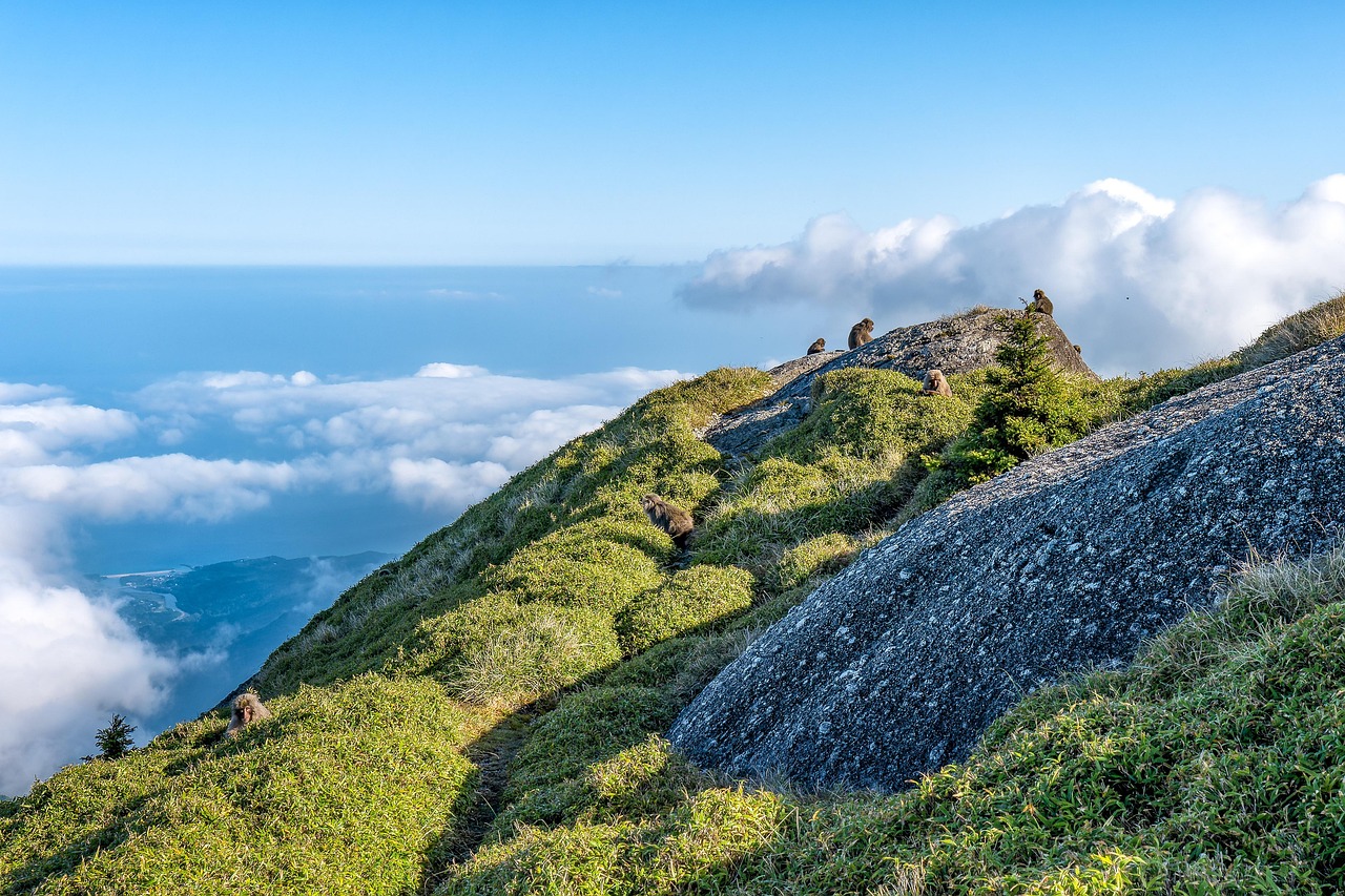 Beaches in Japan: a beautiful beach map for every mood across islands and coastal escapes