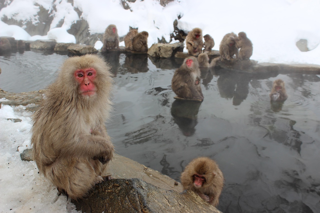 How to Visit Onsen with Confidence Etiquette Tattoos and What to Pack in winter Japan