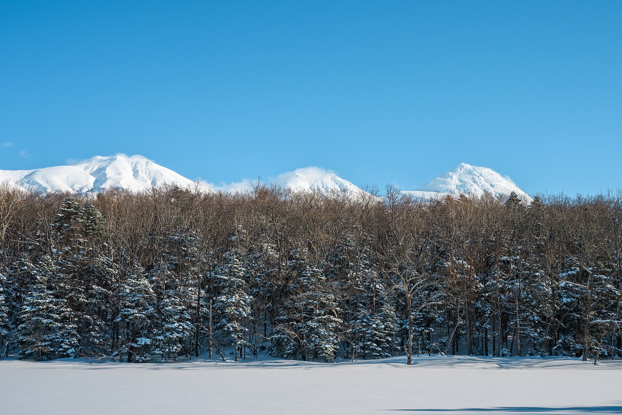 Uncover Hokkaido Tohoku and the Hokuriku Shinkansen on scenic JR East routes