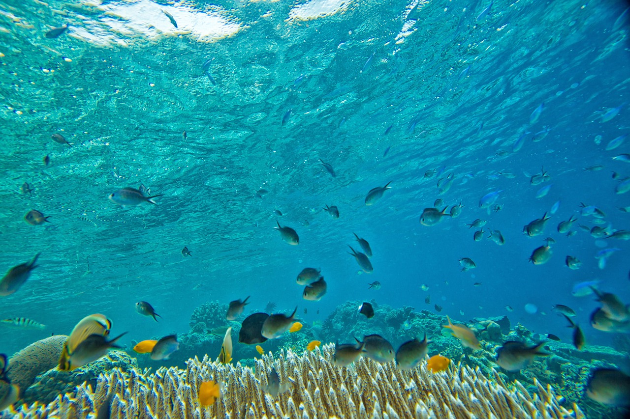 Blue Lagoon Beach for diving and snorkelling in Padang Bai Bali