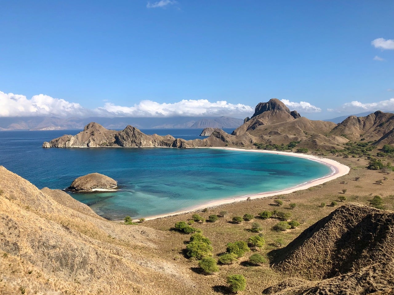 Pink Beach Komodo Snorkel With Manta Rays in Blush Sand