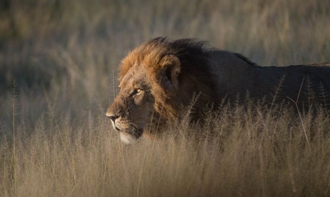 14-Day Discover Zimbabwe