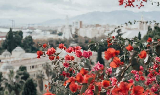 7-Day Andalusia in a Glass