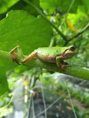 3-Day Northern Amazon
