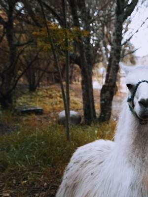 14-Day Family Friendly Ecuador