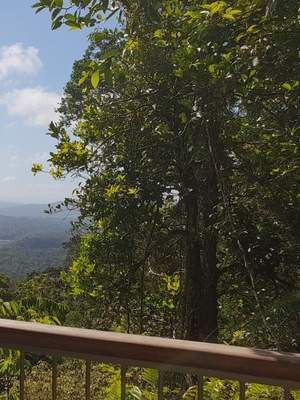 5-Day Best of Cairns & its Surrounds