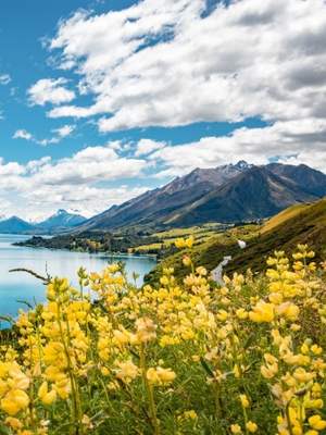 8-Day Discovering Middle Earth