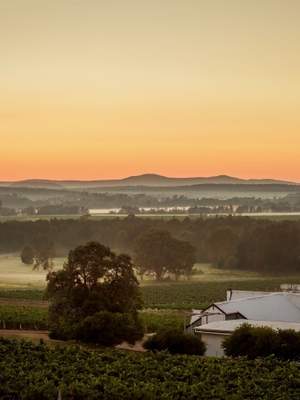 3-Day Sydney, Blue Mountains and Hunter Valley Wineries