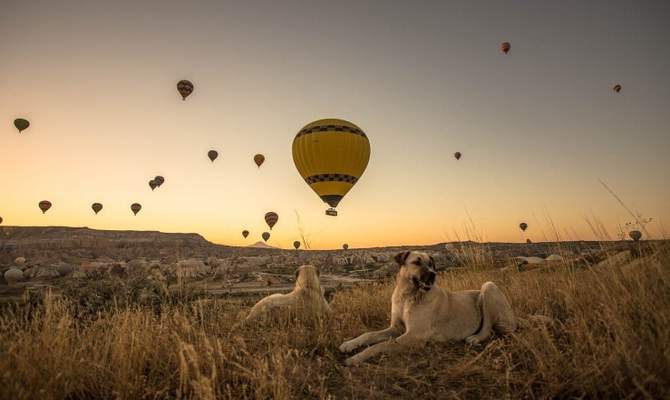 10-Day Anatolian Discovery