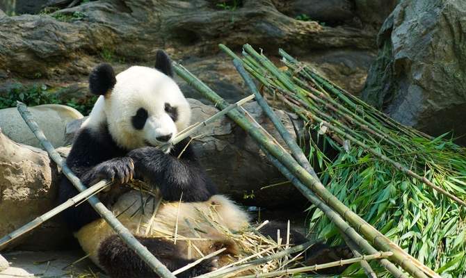 12-Day China Holiday From Hong Kong to Beijing