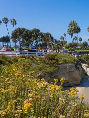 16-Day California Coast