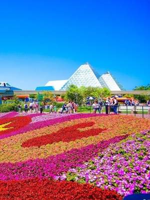 5-Day Orlando's Magical Odyssey