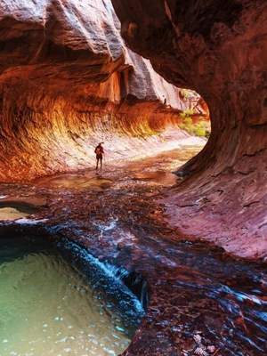 3-Day Fully Guided National Parks Mini Explorer Tour
