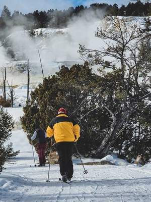 6-Day Yellowstone Winter Wonderland Tour