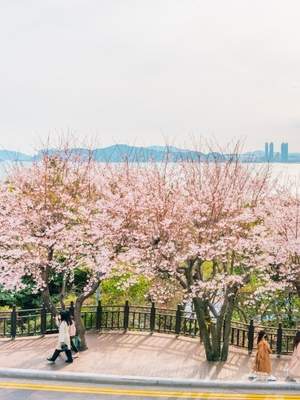 11-Day Beauty & Wellbeing