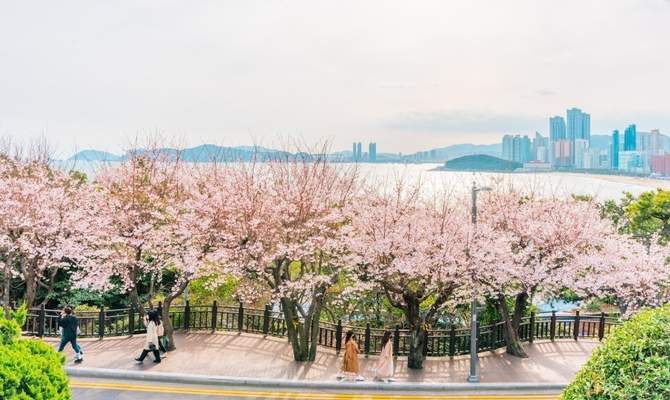 11-Day Beauty & Wellbeing