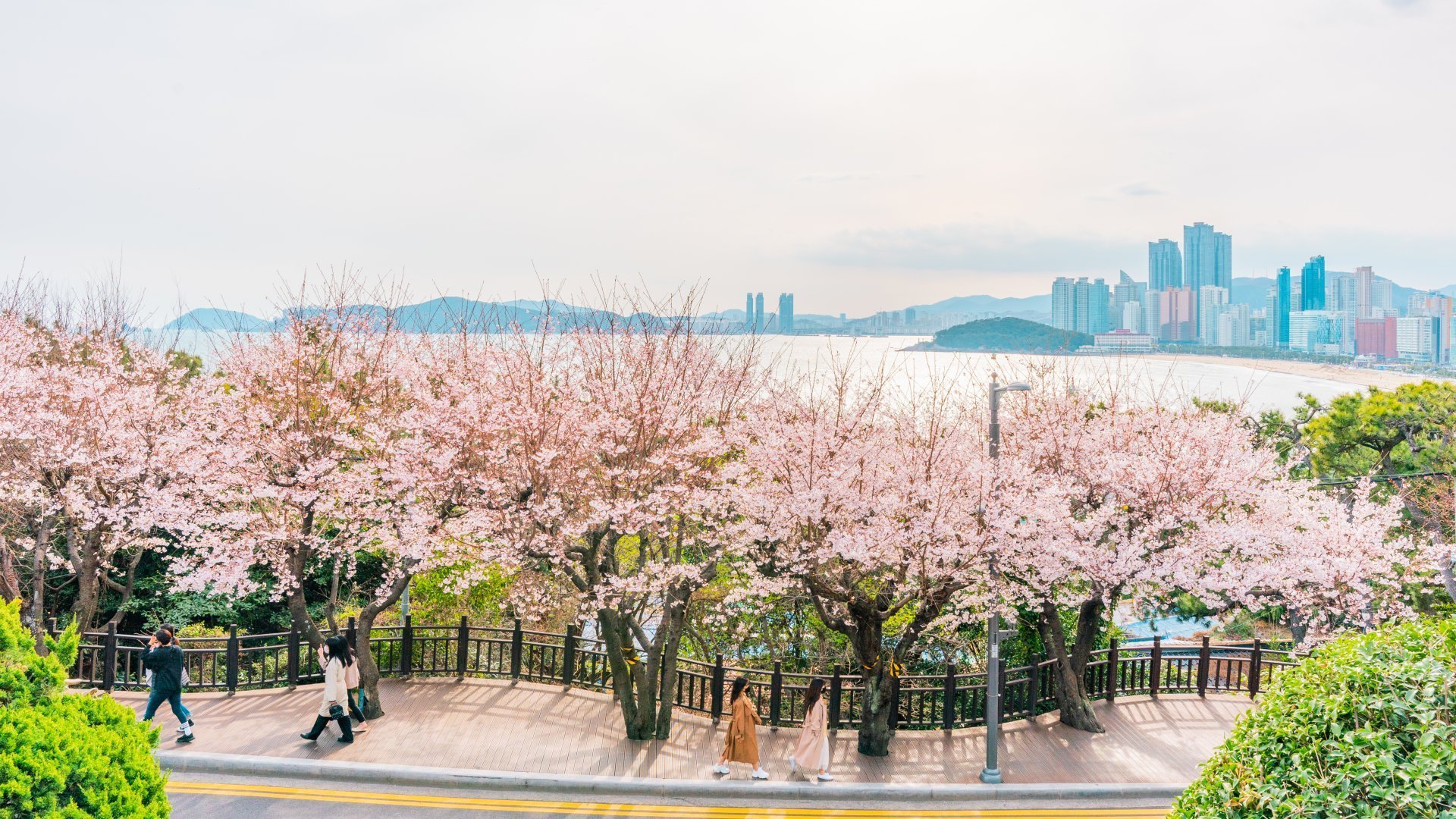 11-Day Beauty & Wellbeing