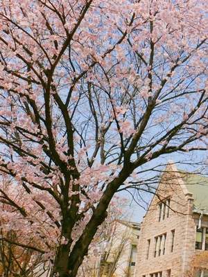 12-Day All Around Korea