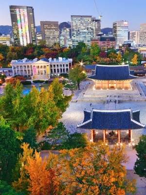 10-Day A Spring Journey Through Cherry Blossoms