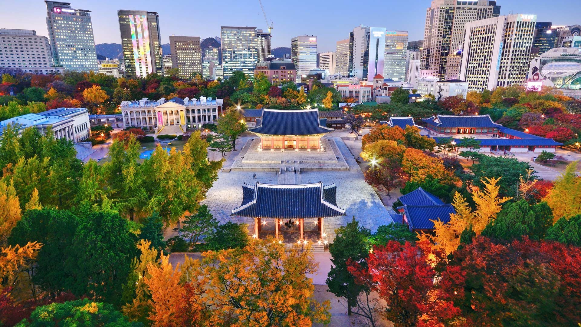 10-Day A Spring Journey Through Cherry Blossoms