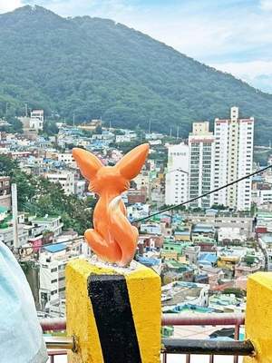 17-Day Highlights of the South Korea Drive