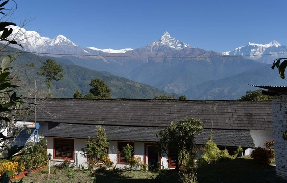 Trek from Ulleri to Ghorepani at 2750 Metres
