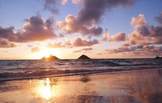 Free Day in Honolulu