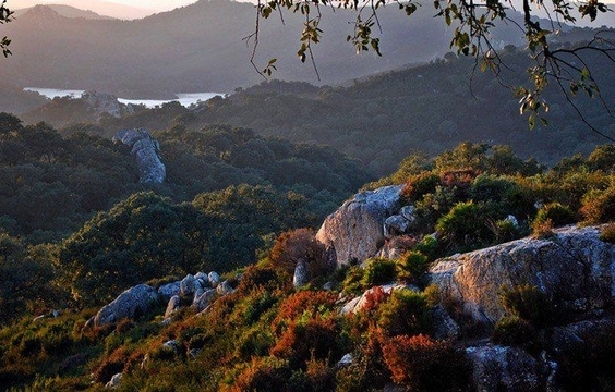 A Breath of Fresh Air