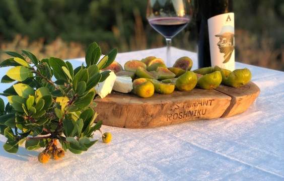 Capture the Charm of Roshnik's Farm & Vineyard