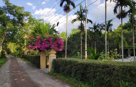 Phuoc Tich Ancient Village - Fly to Hanoi