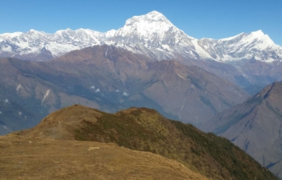 Trek from Khopra Ridge to Dobato at 3420 Metres