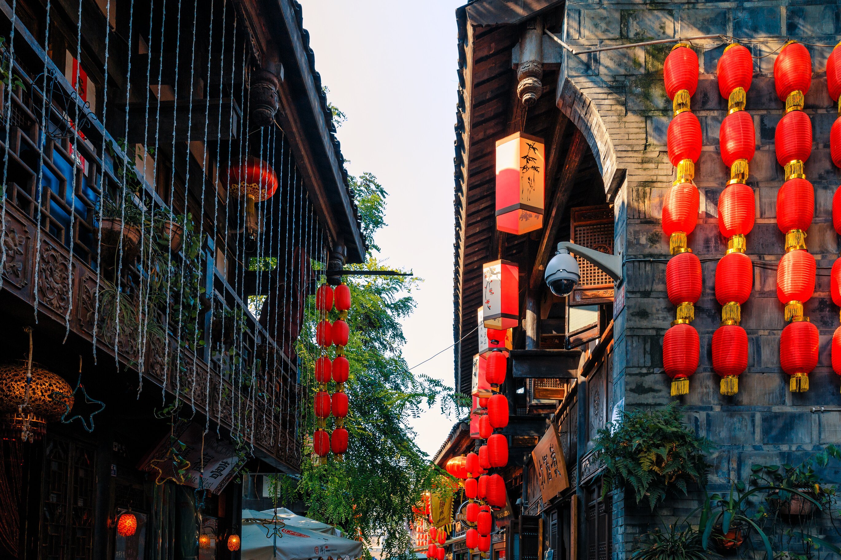 Chengdu Culture & Yangtze Cruise Departure to Chongqing