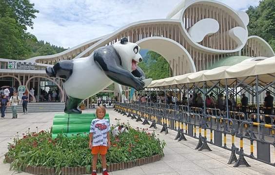 Dujiangyan Panda Keeper Experience: A Day with Giant Pandas