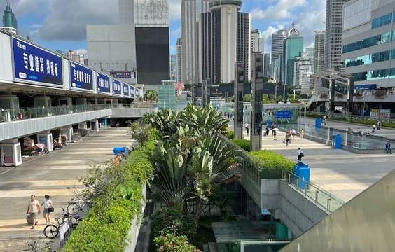 Shenzhen Rising: From Village to Silicon City