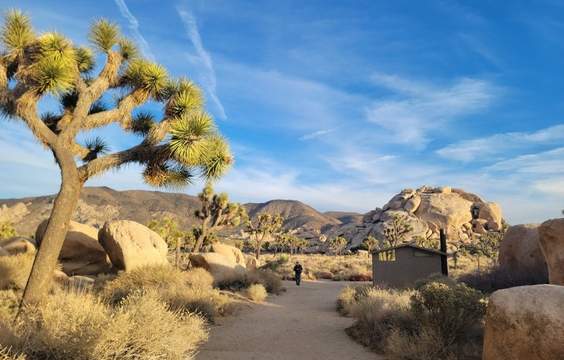Palm Springs