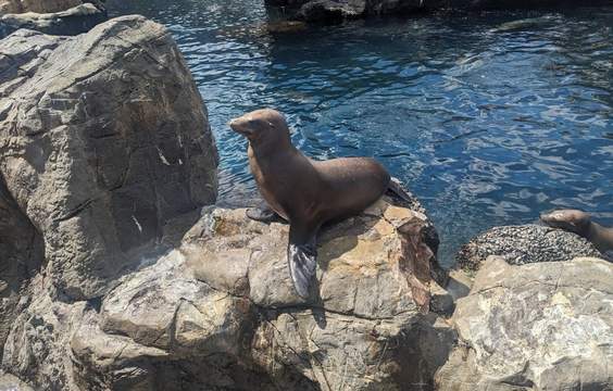 Orlando – Sea World