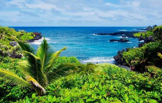 Hana Tour