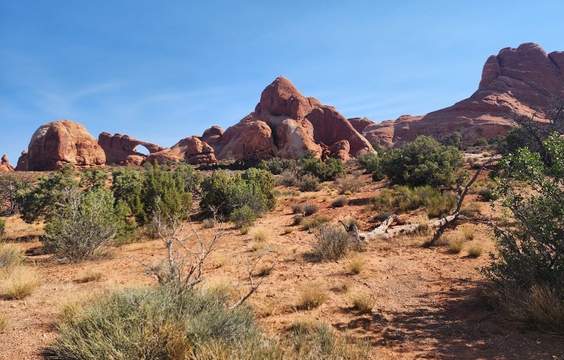 Page to Canyonlands and Arches National Parks