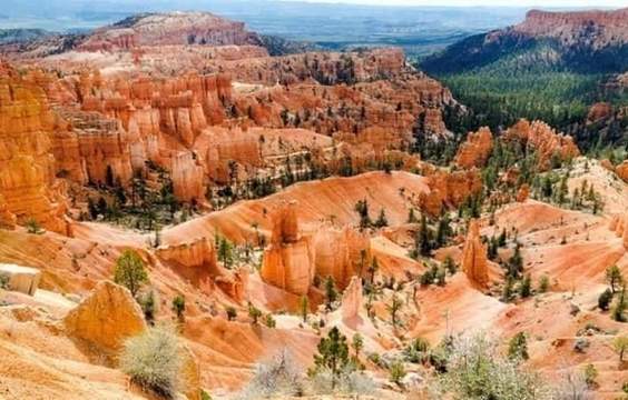 Tour Zion and Bryce National Parks