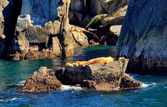 Seward to Anchorage – Sites, Adventure & Farewell