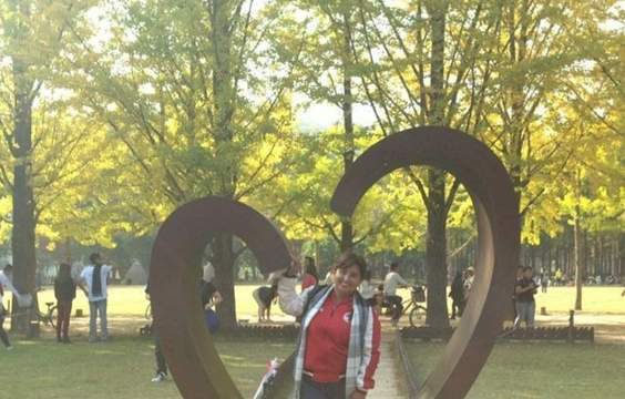 Seoul - Nami Island